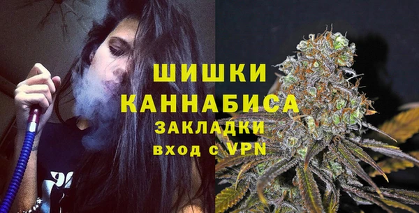 стаф Нея