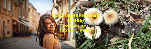 мдпв Нефтекумск