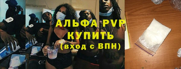 стаф Нея