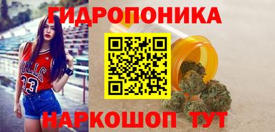 соль ск Бийск