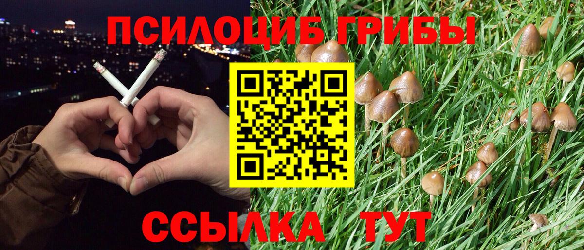 Галлюциногенные грибы Magic Shrooms  Вход с VPN  Прохладный 