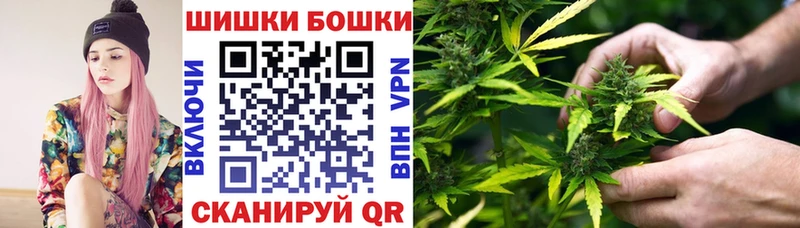 Канабис гибрид Прохладный
